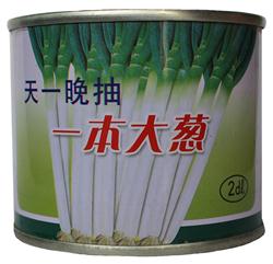 Yiben Scallion--Japan Species